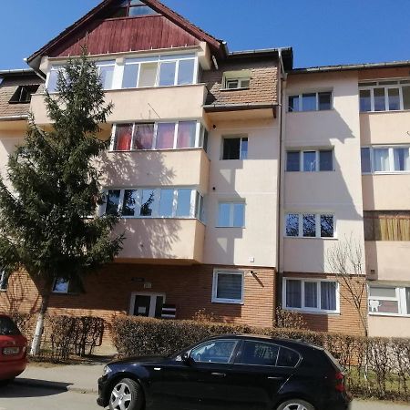 Studio Acasa Sibiu Eksteriør billede