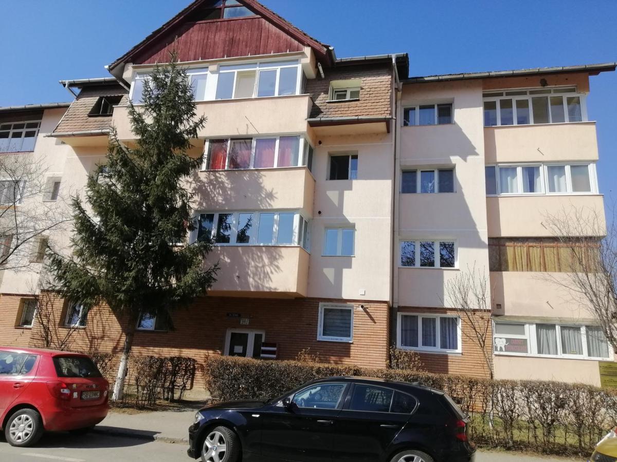 Studio Acasa Sibiu Eksteriør billede