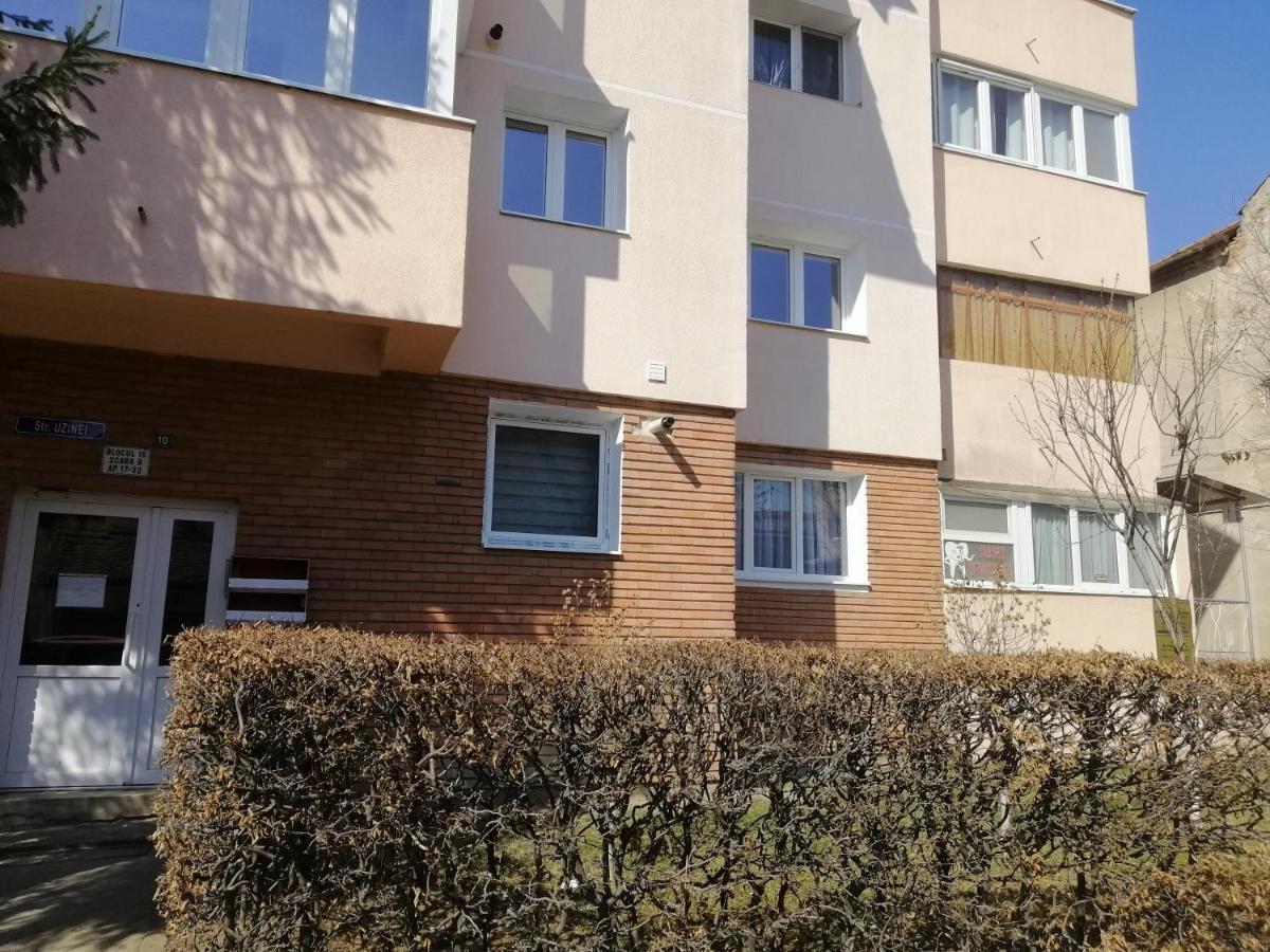 Studio Acasa Sibiu Eksteriør billede